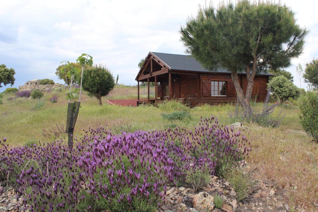 Finca El Enebro Valdemorillo Екстериор снимка